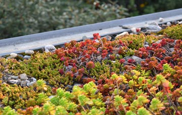 the cost of Astbury green roof installation