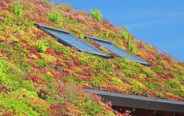 Astbury living roof systems