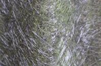 Astbury fibreglass roof work